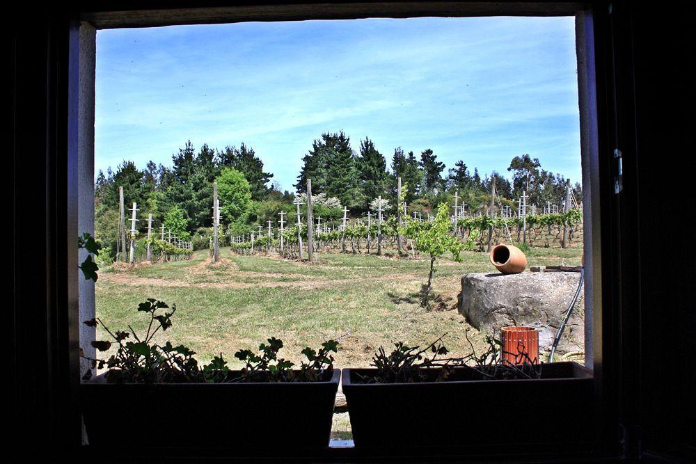 H&AP Rural Merrutxu Ibarrangelu Exterior foto